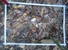 PA_1390_1_73d