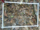 PA_1390_2_75a