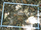 PA_1390_2_77c