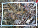PA_1390_3_81b