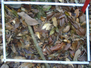 PA_1390_3_82c