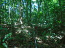 PA_1390_4_84