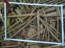 PA_1390_4_85a