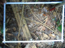 PA_1390_4_87c