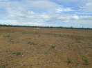 PA_1392_0_1104