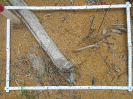 PA_1393_3_117a