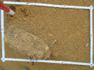 PA_1393_4_112a