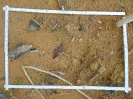 PA_1393_4_113b
