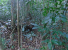 PA_1396_0_107