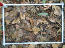 PA_1396_1_266a
