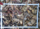 PA_1396_2_109a
