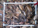 PA_1396_2_110b