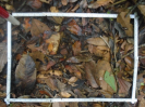 PA_1396_3_114a