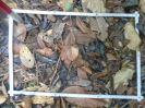 PA_1396_3_117d