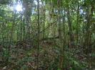 PA_1396_4_118