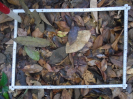PA_1396_4_119a