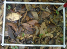 PA_1396_4_120b