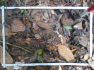 PA_1396_4_121c