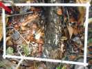PA_1397_1_1108a