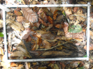 PA_1397_1_1111d