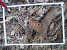 PA_1443_3_132a