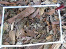 PA_1443_3_133b