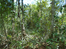 PA_1450_2_1028