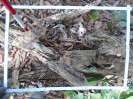 PA_1451_1_1046a