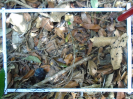 PA_1451_1_1047b