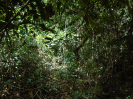 PA_1451_2_1051