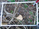 PA_1451_2_1053b