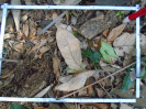 PA_1451_2_1054c