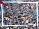 PA_1451_3_1057a