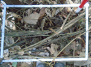 PA_1451_3_1058b