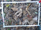 PA_1451_4_1063b