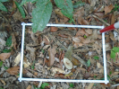 PA_1451_4_1064c
