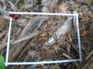 PA_1451_4_1065d