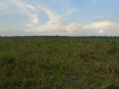 PA_1452_0_1095