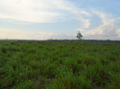 PA_1452_1_1096