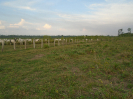 PA_1452_2_1101