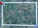 PA_1452_2_1102a