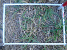 PA_1452_2_1103b
