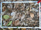 PA_1453_4_1088c