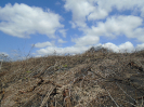 PA_1505_1_979