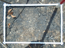 PA_1505_1_981b