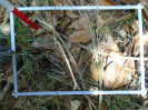 PA_1505_2_985a