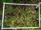 PA_1505_2_986b