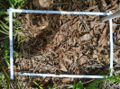 PA_1505_2_987c
