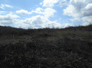PA_1505_4_994