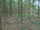 PA_1506_0_1000